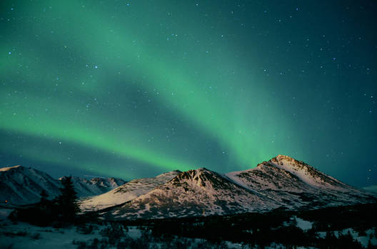 Static Aurora In Anchorage