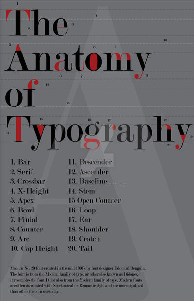 Anatomy of Typography by ColorificUnicorn on DeviantArt