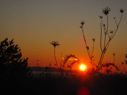 Autumn sunset