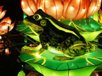 Lantern-16 4 foot long frog lantern
