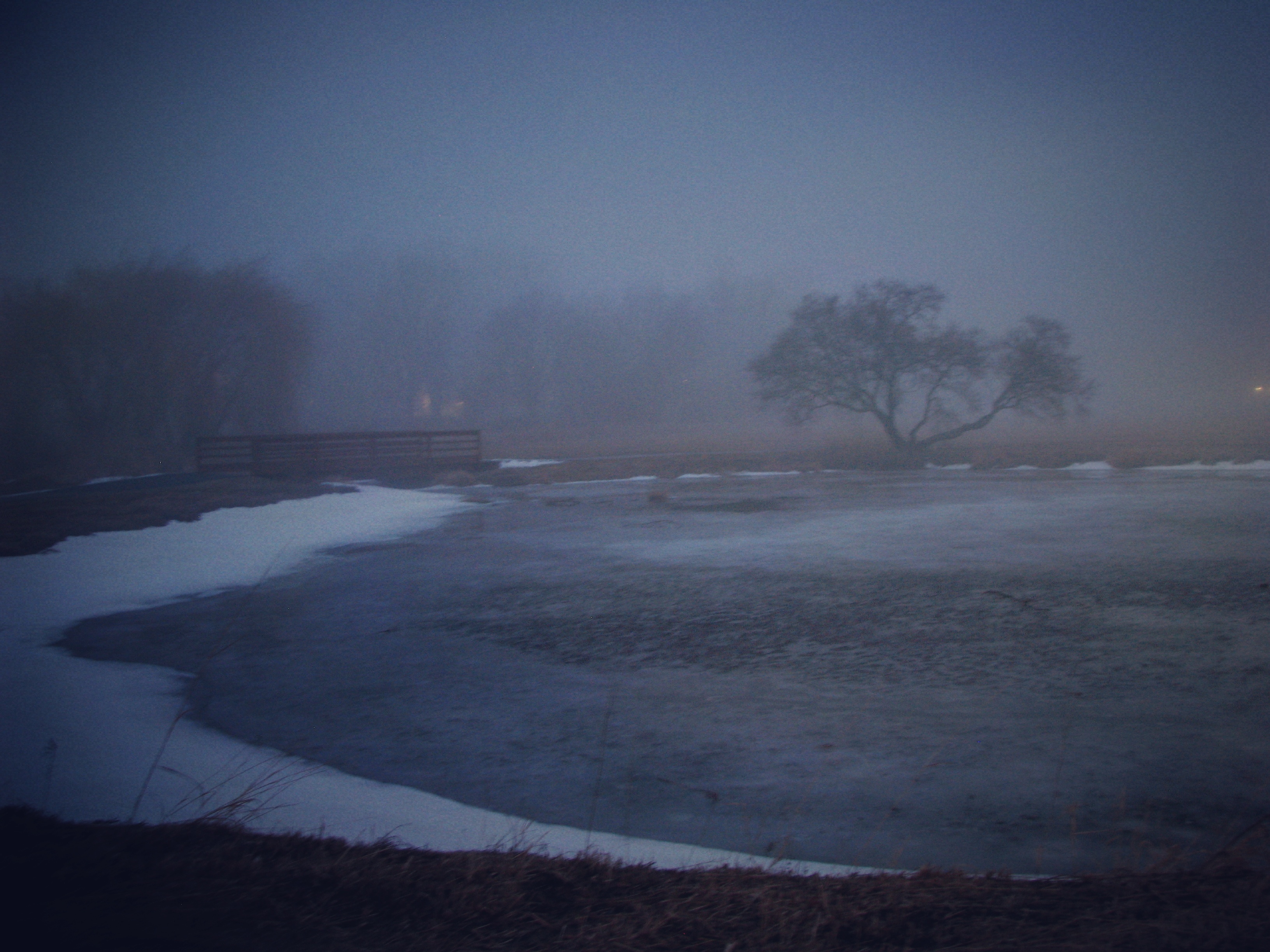 Frozen Pond Campanelli Park