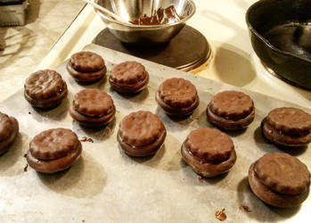 Mint Devilsfood Chocolate Cookies
