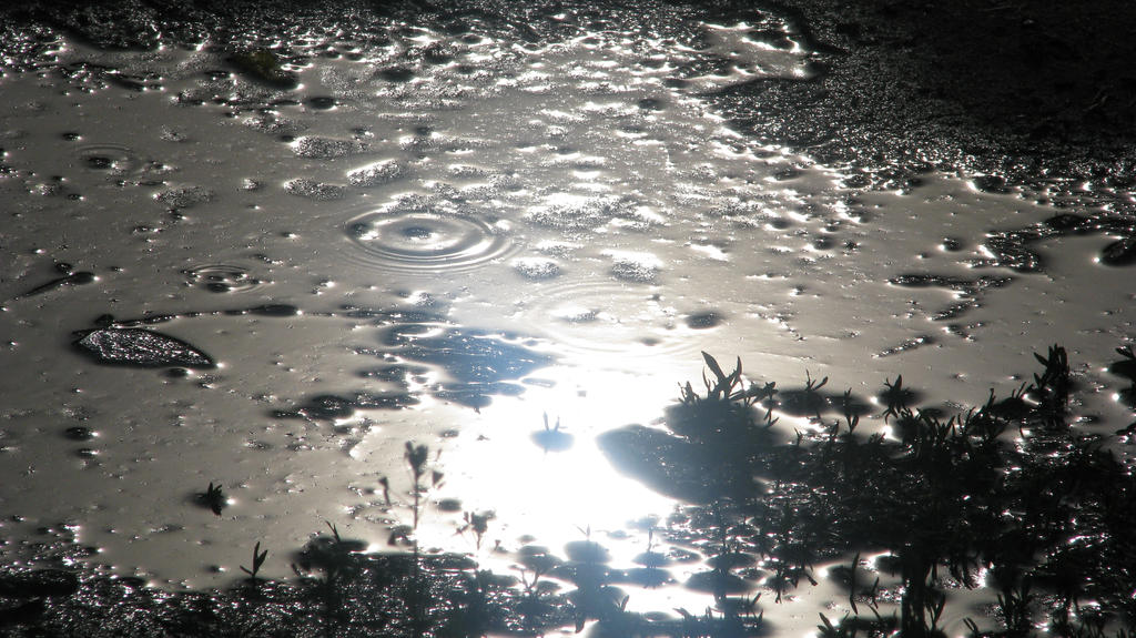Mud Puddle Ripple Reflection The Reflecting Puddle by NoctemXxXAeternus on DeviantArt