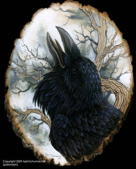 Raven portrait on basswood