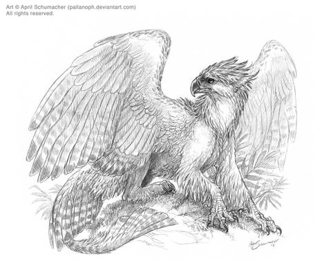 Philippine Gryphon