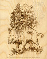 Boar of the Woods: Pyrography