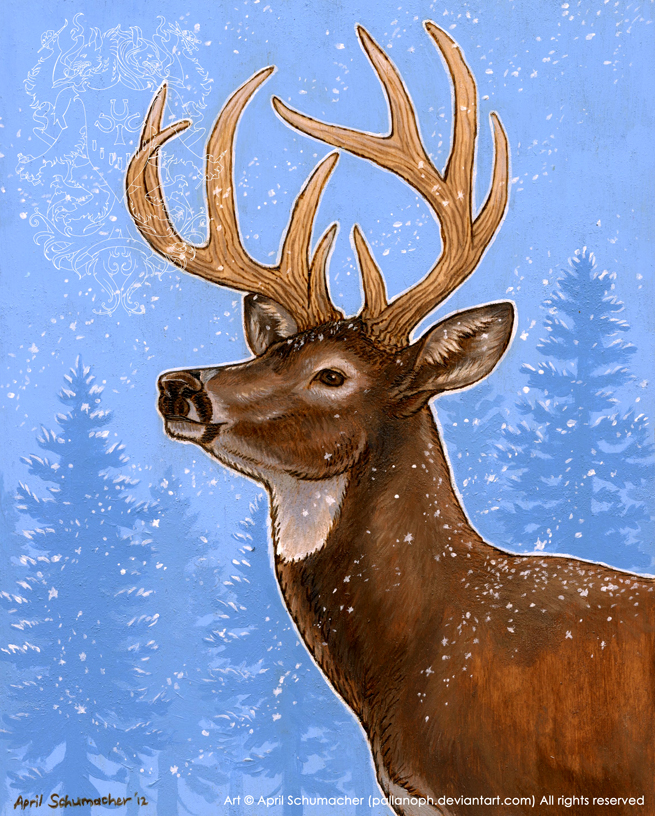 Winter Whitetail