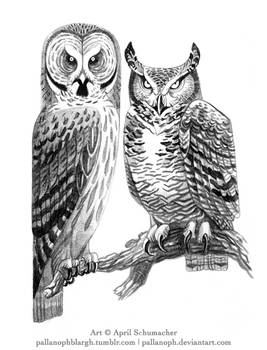 Bubo and Strix