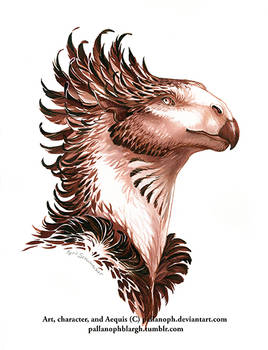 Deviantart Shirk Explore the Best Shirk Art | DeviantArt