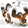 Custom Aequis: Harris's Hawk