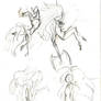 Marceline sketches