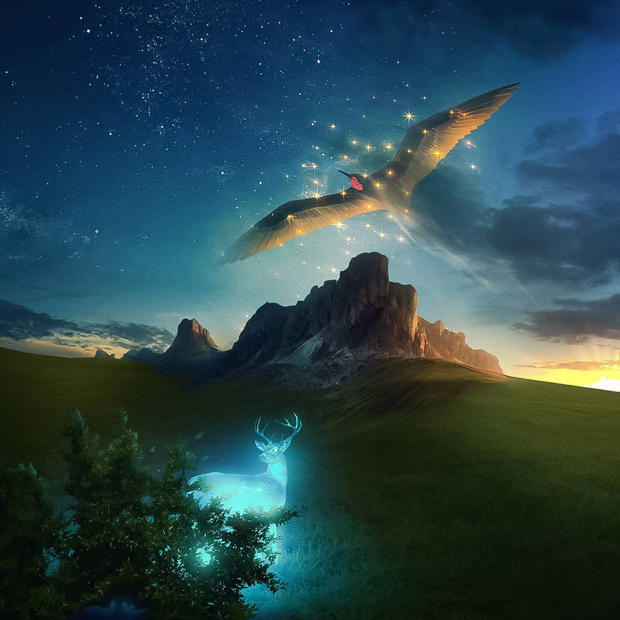 Legendary Behaviour Legendary beings by tomjo22 on DeviantArt