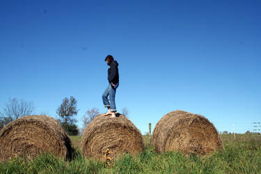 Hay Bales