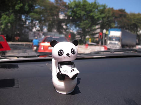 panda day out in traffic