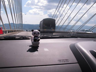 Panda day out to the bridge