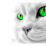 iPad FINGER painting of a cat