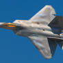 Famous and dangerous, the F-22A Raptor