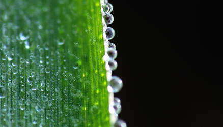 More Water Drops