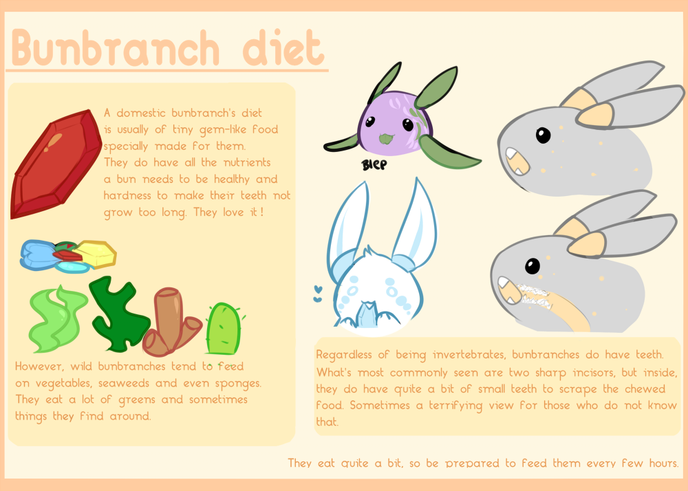 Bunbranches Guide- Diet