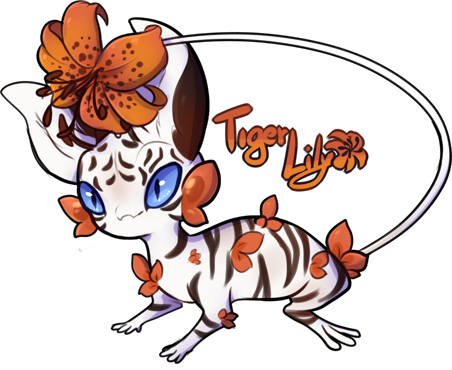 Symphonies advent: Tiger lily auction CLOSED