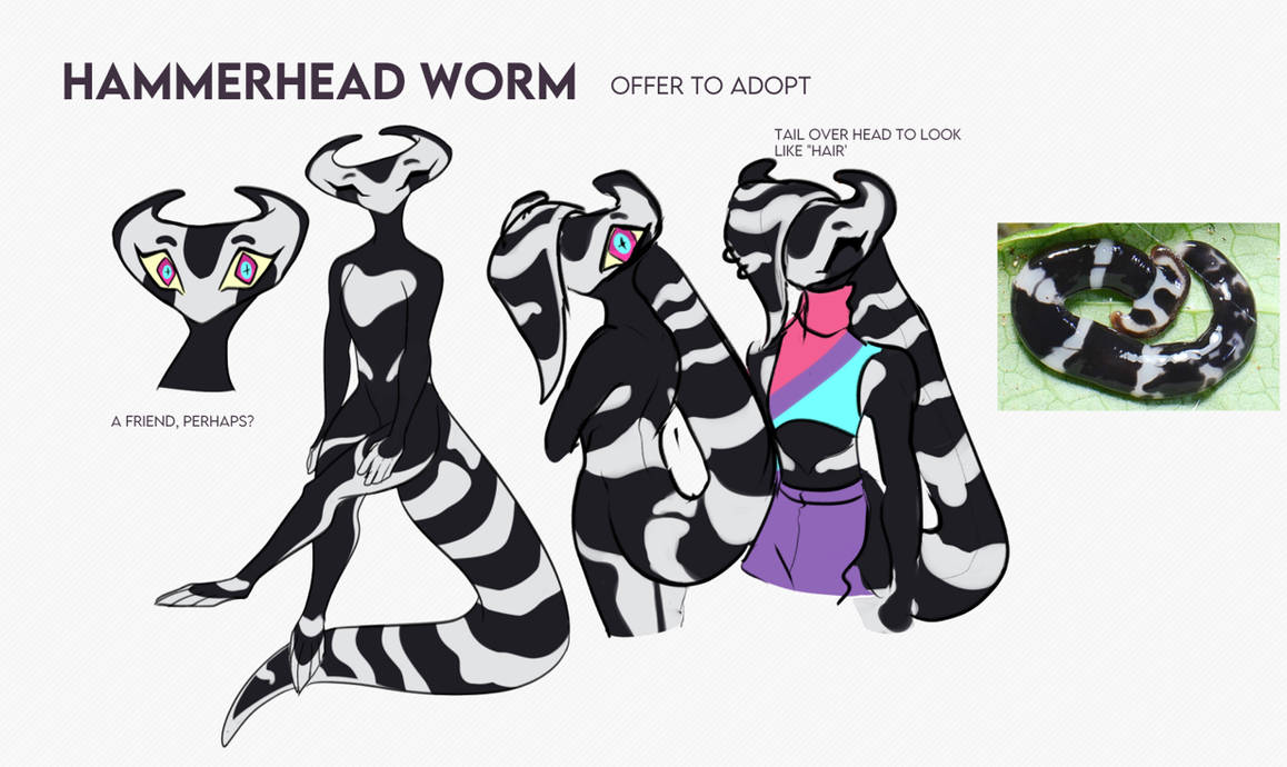 Hammerhead worm design OTA CLOSED by Lighterium on DeviantArt