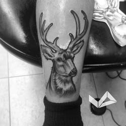 Deer Tattoo @jdespinart