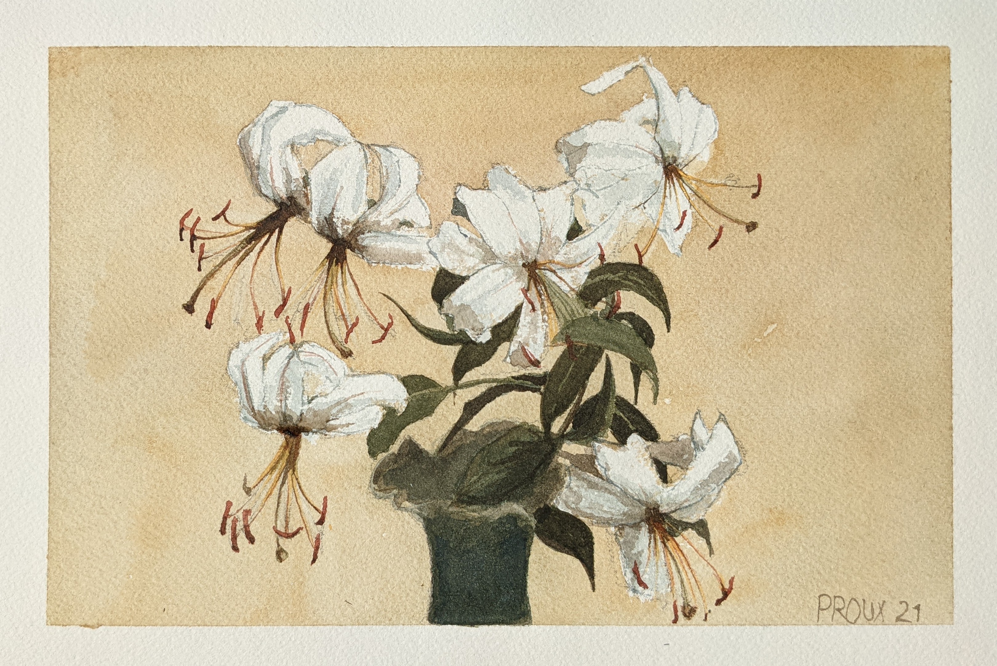 Lys selon Latour