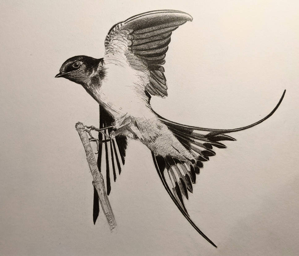 Graphite rendering exercice by archiwyzard on DeviantArt