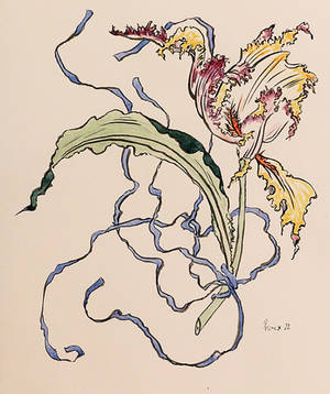 study around irises drawing deviantart archiwyzard