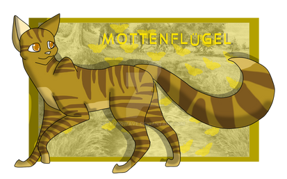 100 Warrior Cats Challange - #16: Mothwing