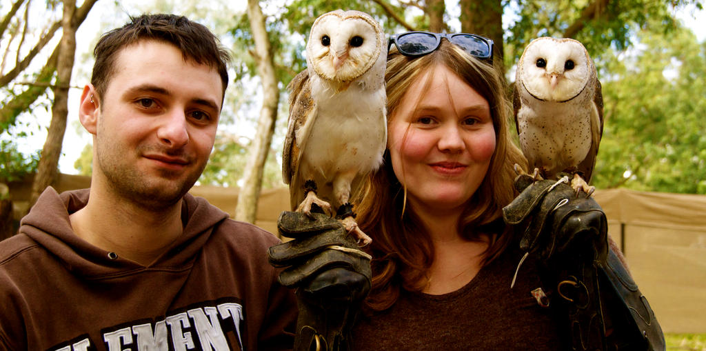 The Enterprising Hawkers (or Owlers)