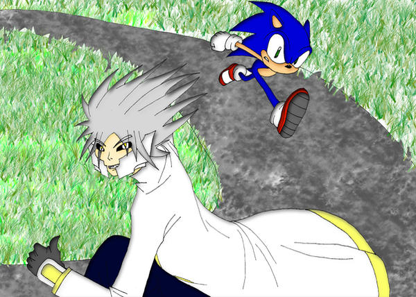 Sonic Ruguai Riujin Vs Sonic by HellGab on DeviantArt