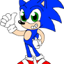 Sonic the Hedgehog