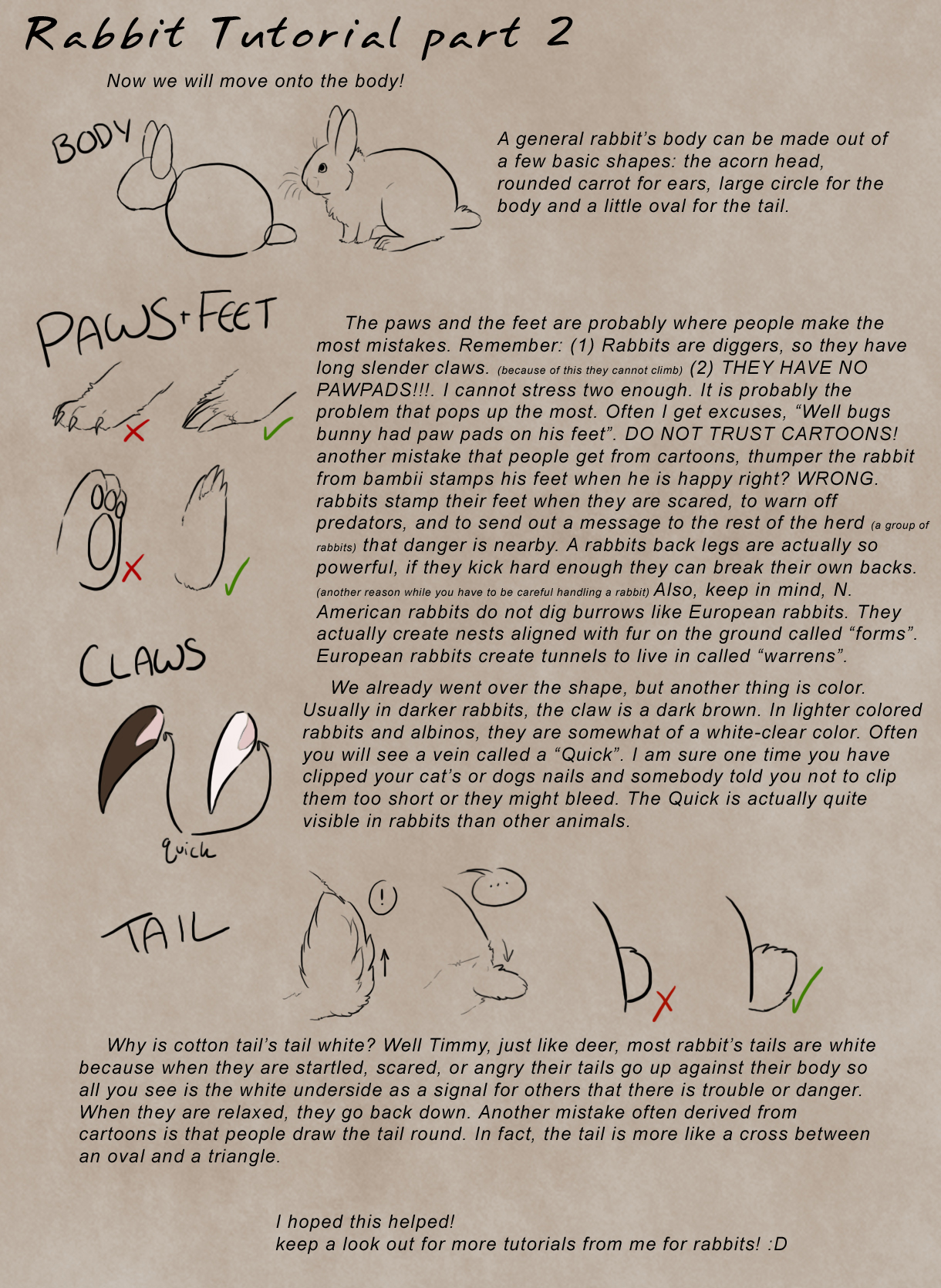 Rabbit Tutorial Part 2