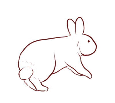 Rabbit Run Cycle by Kium on DeviantArt