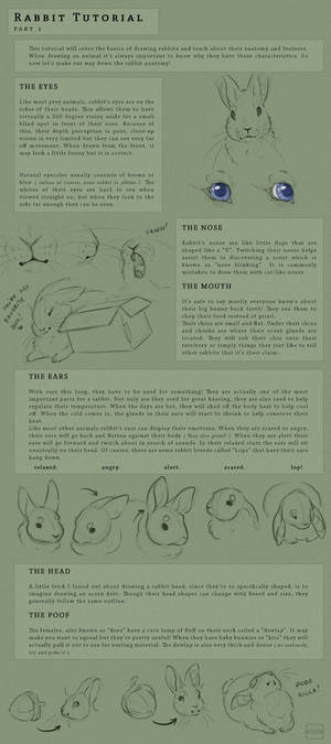 Rabbit tutorial part 1/2