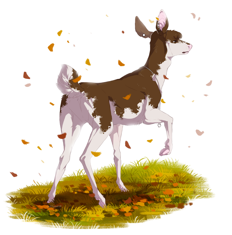 Autumn Deer - Commission