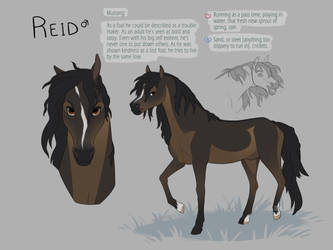 Reid Style Reference