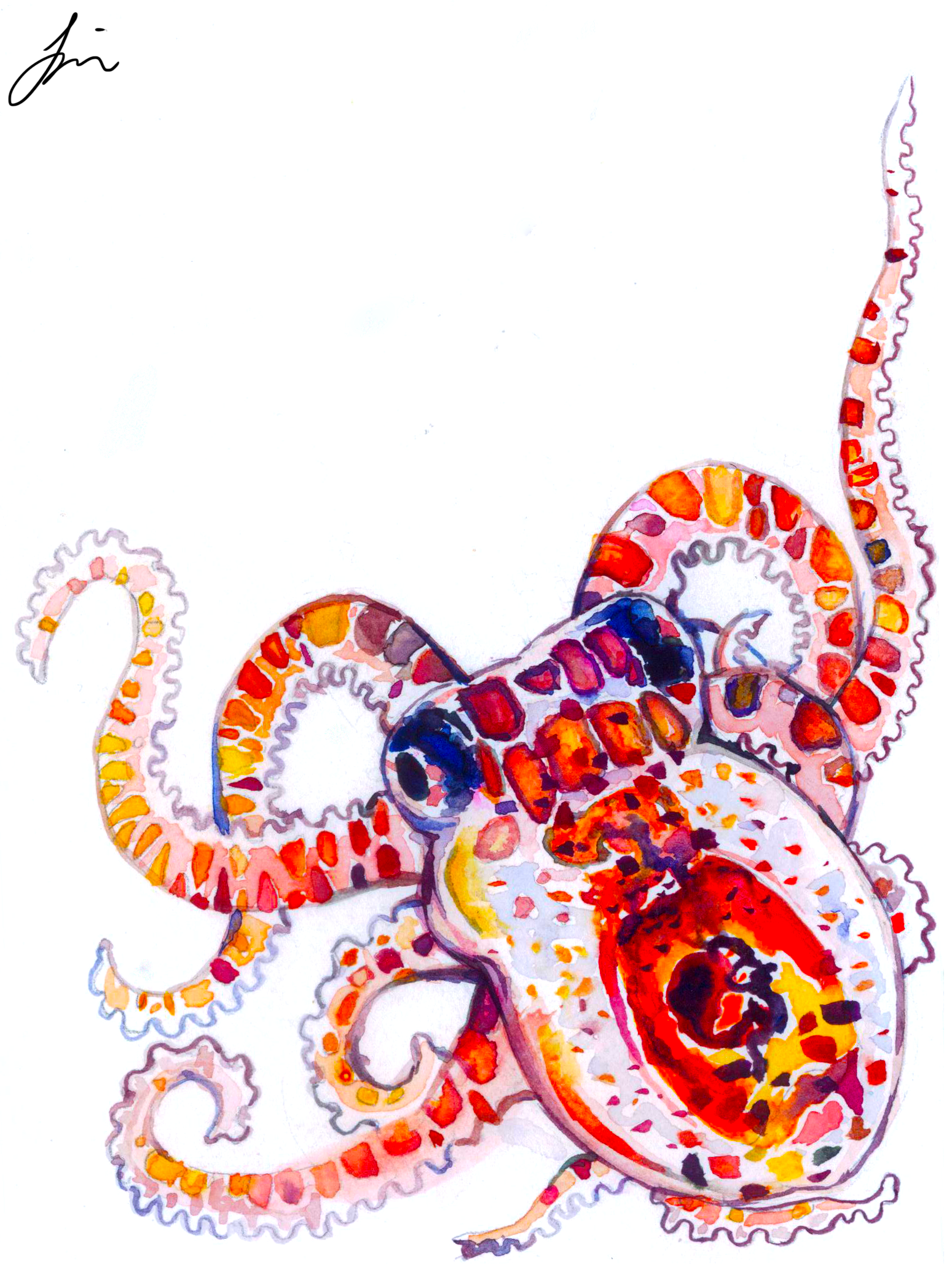 Itsy Bitsy Octopus