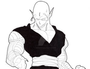 Piccolo 01