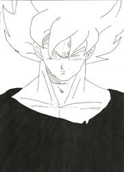 Son Goku 15