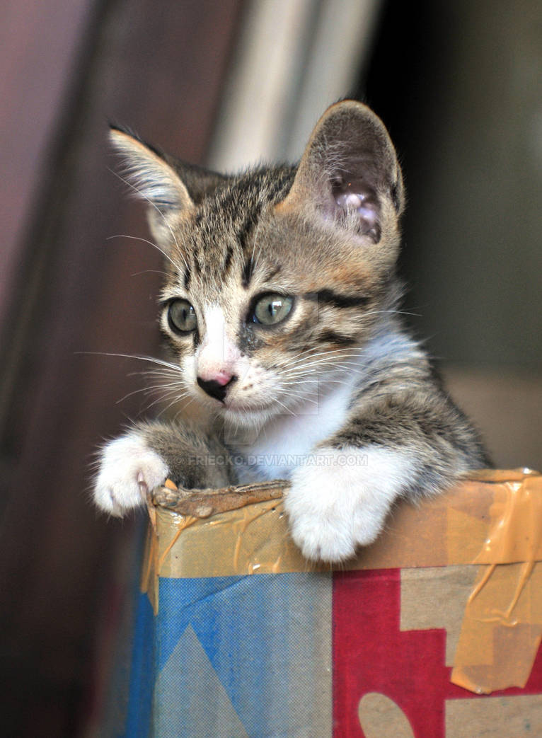 inbox by friecko on DeviantArt