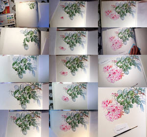 Watercolor Painting Roses - Wedding Book 12