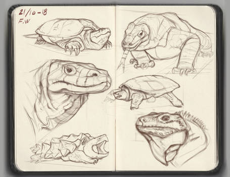 Reptile sketches