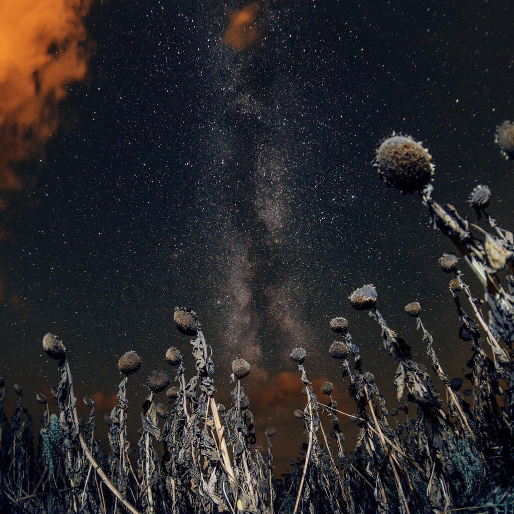 when sun is down by Innadril