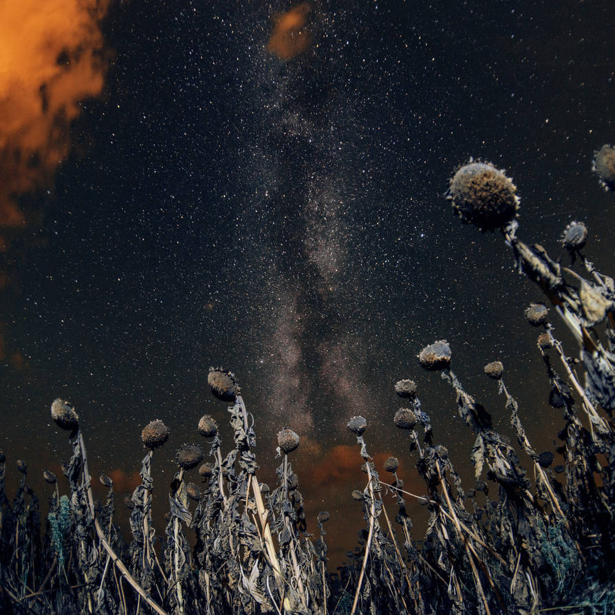 when sun is down by Innadril