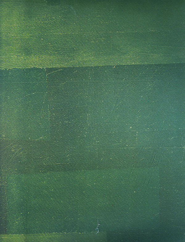 Flat Texture by rinoatimber on DeviantArt
