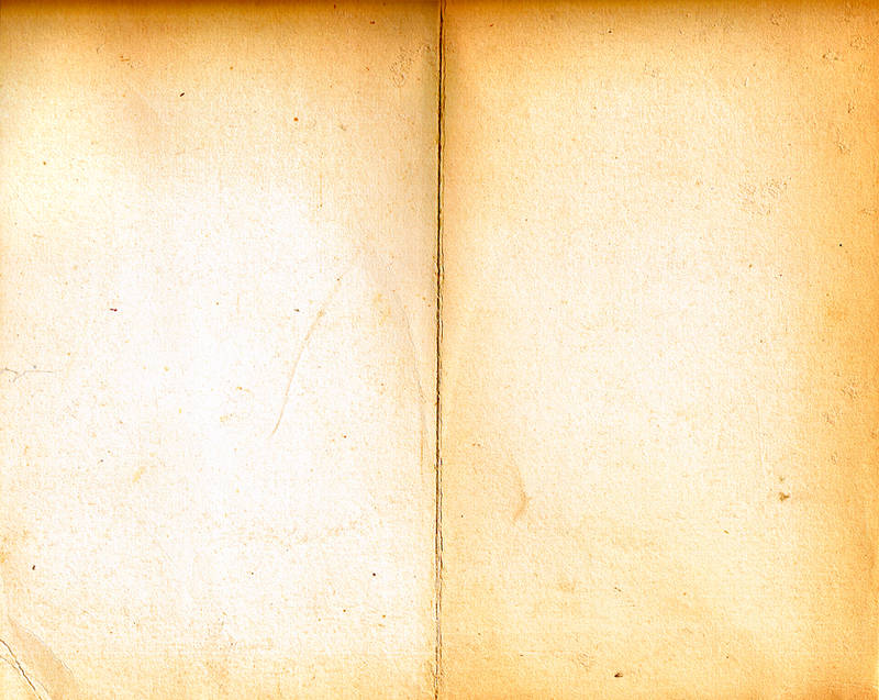 Old Book Texture by rinoatimber