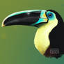 Toucan