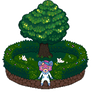 Wish Tree